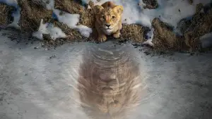 Задник к фильму "" #557138