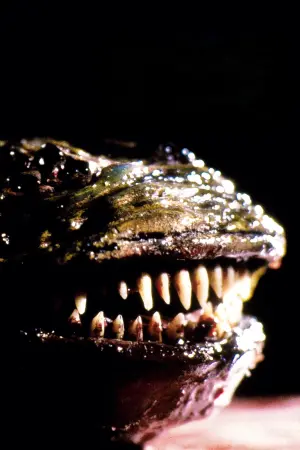 Постер к фильму "Паразит" #381470