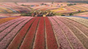 Задник к фильму "Злая: Часть первая" #529485