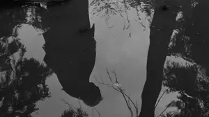 Задник к фильму "Земляничная поляна" #177601