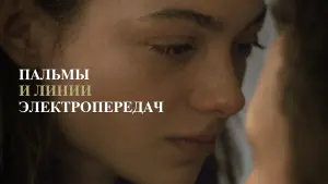 Задник к фильму "Пальмы и линии электропередач" #414883