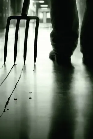 Постер к фильму "Безумцы" #445047