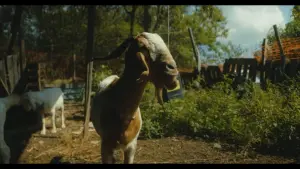 Задник к фильму "" #443649