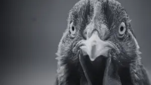 Задник к фильму "" #352947