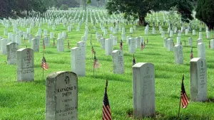 Задник к фильму "Сады камней" #452474