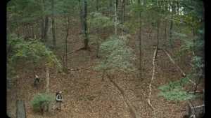 Видео к фильму Vulcanizadora | Vulcanizadora teaser official