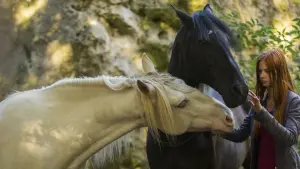 Задник к фильму "Восточный ветер 2" #356079