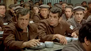 Задник к фильму "Скумон - приносящий беду" #459517