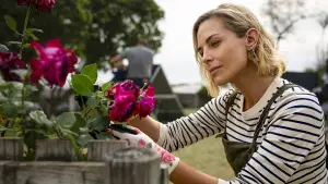 Задник к фильму "Клык 2: Город волков" #509957