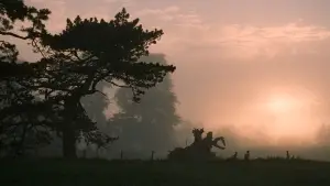 Задник к фильму "Мост в Терабитию" #611568