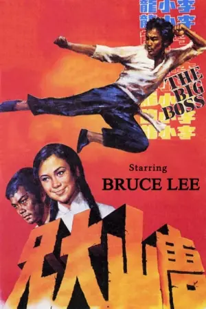 Постер к фильму "Большой босс" #91138