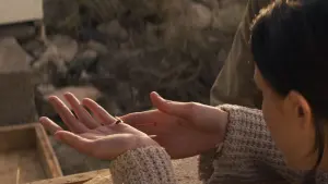 Задник к фильму "ИО" #386578