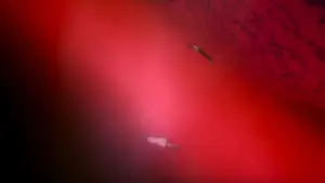 Задник к фильму "Конец Евангелиона" #648746