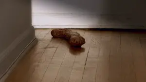 Задник к фильму "Дурная биология" #451461