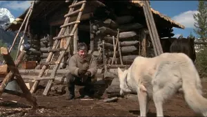 Задник к фильму "Смертельная охота" #383904