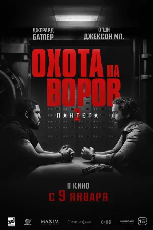 Постер к фильму "Охота на воров 2: Пантера" #581015