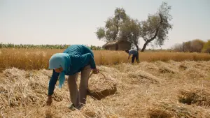 Задник к фильму "" #384629