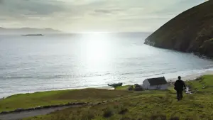 Задник к фильму "Банши Инишерина" #693698