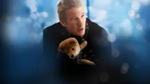 Задник к фильму "Хатико: Самый верный друг" #612519