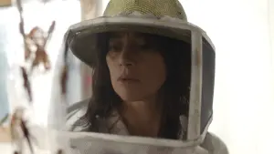 Задник к фильму "Рой" #385792