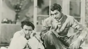 Задник к фильму "Филадельфийская история" #203889