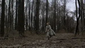 Задник к фильму "Таинственный лес" #728866