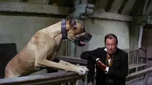 Задник к фильму "Доктор Дулиттл" #385029