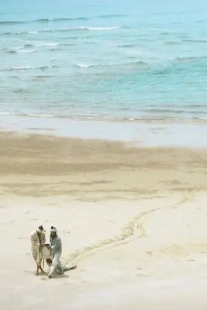 Постер к фильму "" #647004