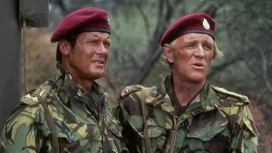 Задник к фильму "Дикие гуси" #351240