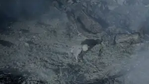 Задник к фильму "Винни Пух: Кровь и мёд 2" #646114