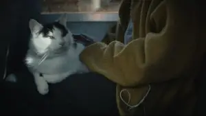 Задник к фильму "Тихое место: День первый" #563344