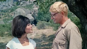 Задник к фильму "Кавказская пленница, или Новые приключения Шурика" #455856