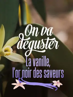 On va déguster : La vanille, l'or noir des saveurs