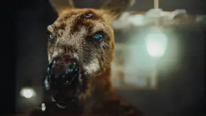 Задник к фильму "Хищник. Дожить до рассвета" #682919