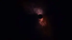 Задник к фильму "Древо жизни" #266193