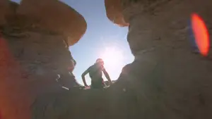 Задник к фильму "Древо жизни" #723959