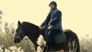 Задник к фильму "Железнодорожные тигры" #347593