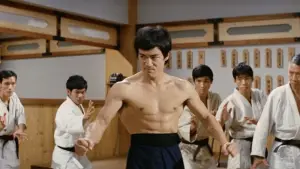 Задник к фильму "Кулак ярости" #688278