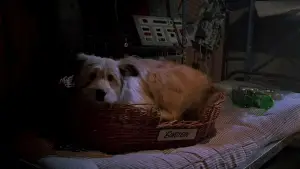 Задник к фильму "Назад в будущее II" #647311