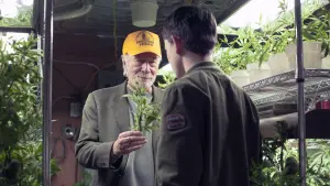 Задник к фильму "Границы" #460825