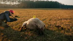 Задник к фильму "" #449068