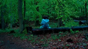 Задник к фильму "Пфаффендорфський ліс" #469923