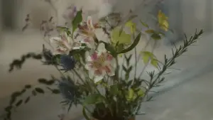 Задник к фильму "Портрет девушки в огне" #709691