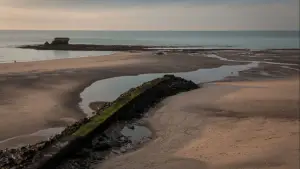 Задник к фильму "" #542274