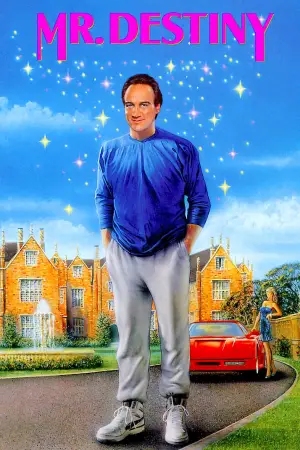 Постер к фильму "Мистер Судьба" #719447