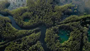 Задник к фильму "Озеро Каддо" #596372