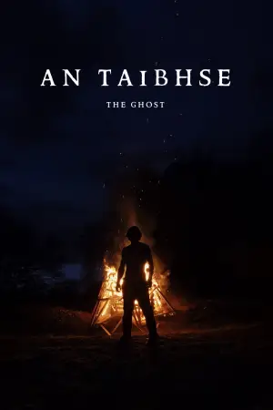 Постер к фильму "An Taibhse" #916919