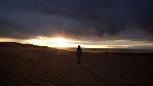 Задник к фильму "Гостья" #292726