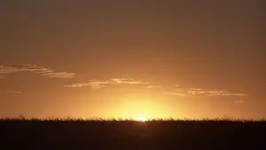 Задник к фильму "Простая история" #529184