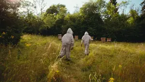 Задник к фильму "Бугония" #511578